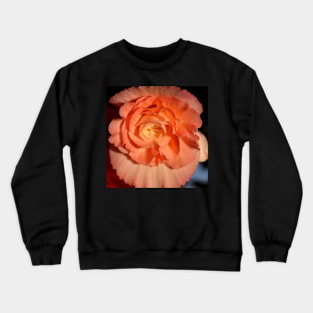 Apricot-pink Tuberous Begonia Crewneck Sweatshirt